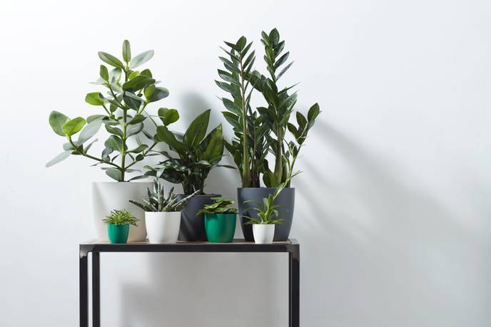 brussels round 14cm white